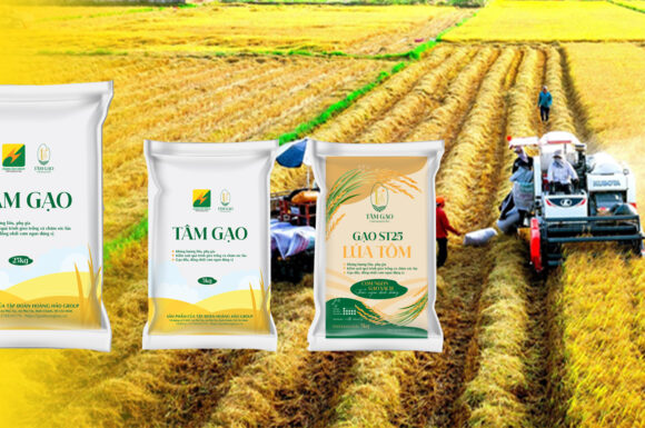 Tâm Gạo | Hoàng Hảo Group – Hành trình đưa hạt ngọc Việt vươn xa