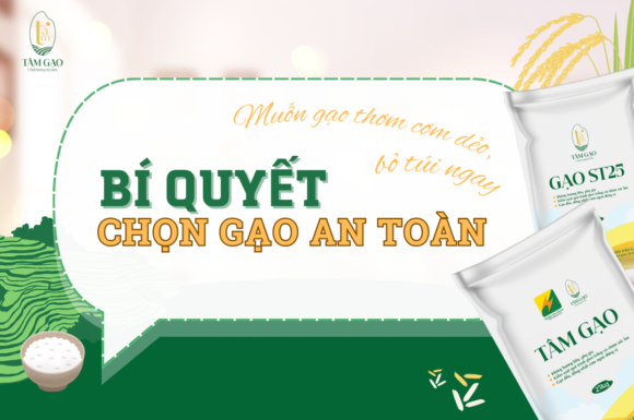 Gạo sạch là gì? Bỏ túi ngay 3 bí quyết chọn gạo sạch – Tâm Gạo