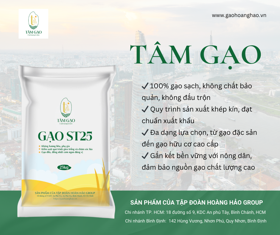 Gạo ST25 - Gạo Hoàng Hảo