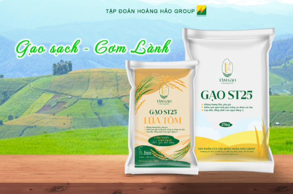 Gạo ST25 lúa tôm là gì? Phân biệt với gạo ST25 thông thường?