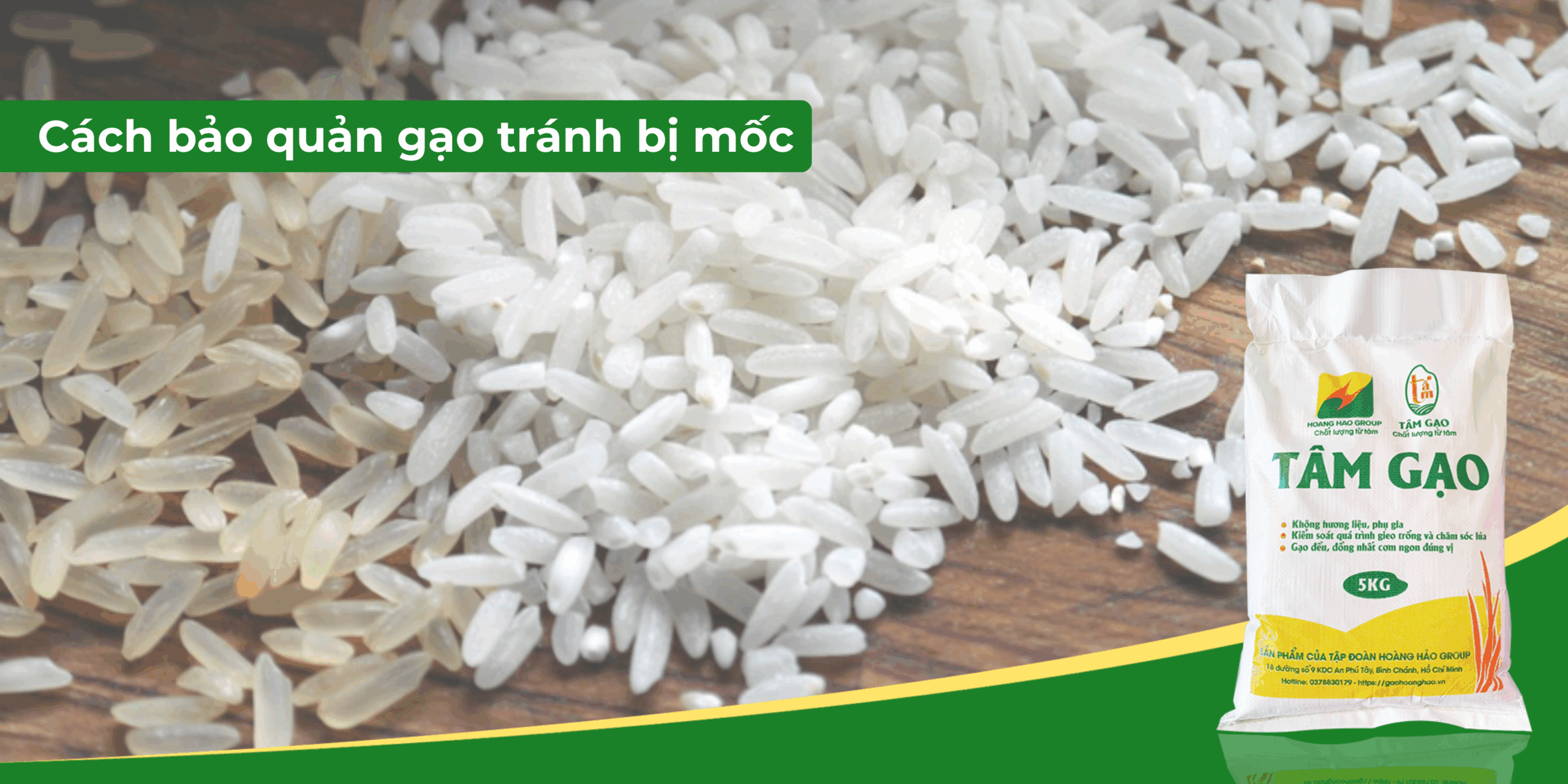 Tại sao gạo bị mốc? Cách bảo quản gạo tránh bị mốc