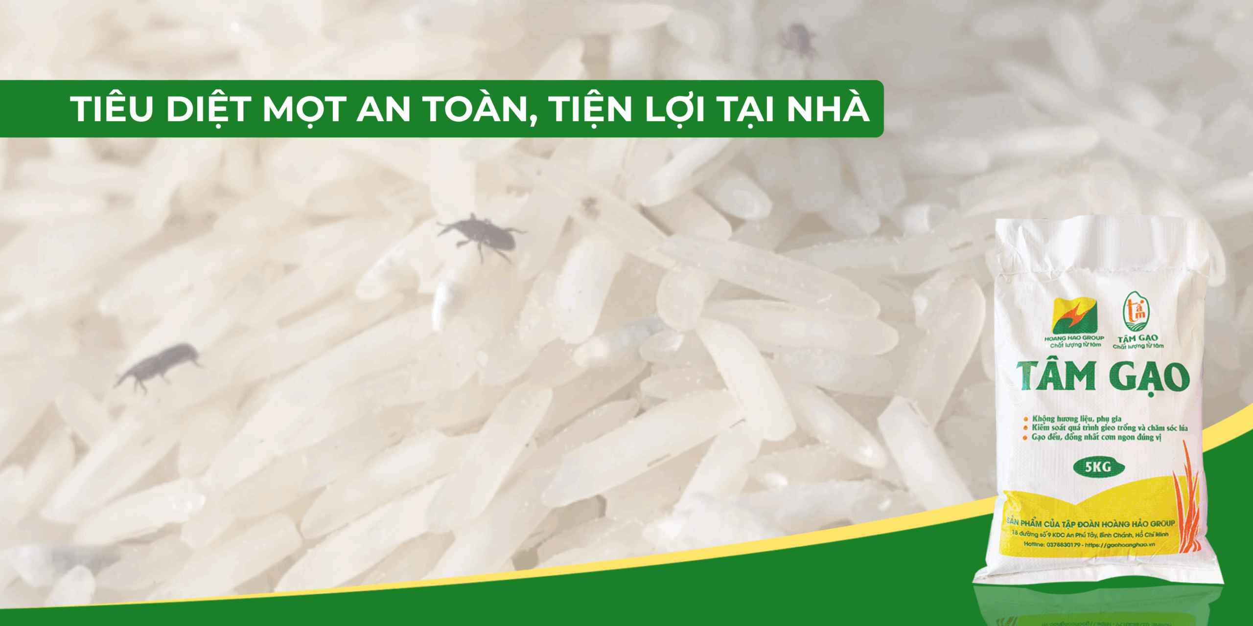 Tại sao gạo bị mọt? 6 cách diệt mọt gạo tại nhà, hiệu quả, an toàn.
