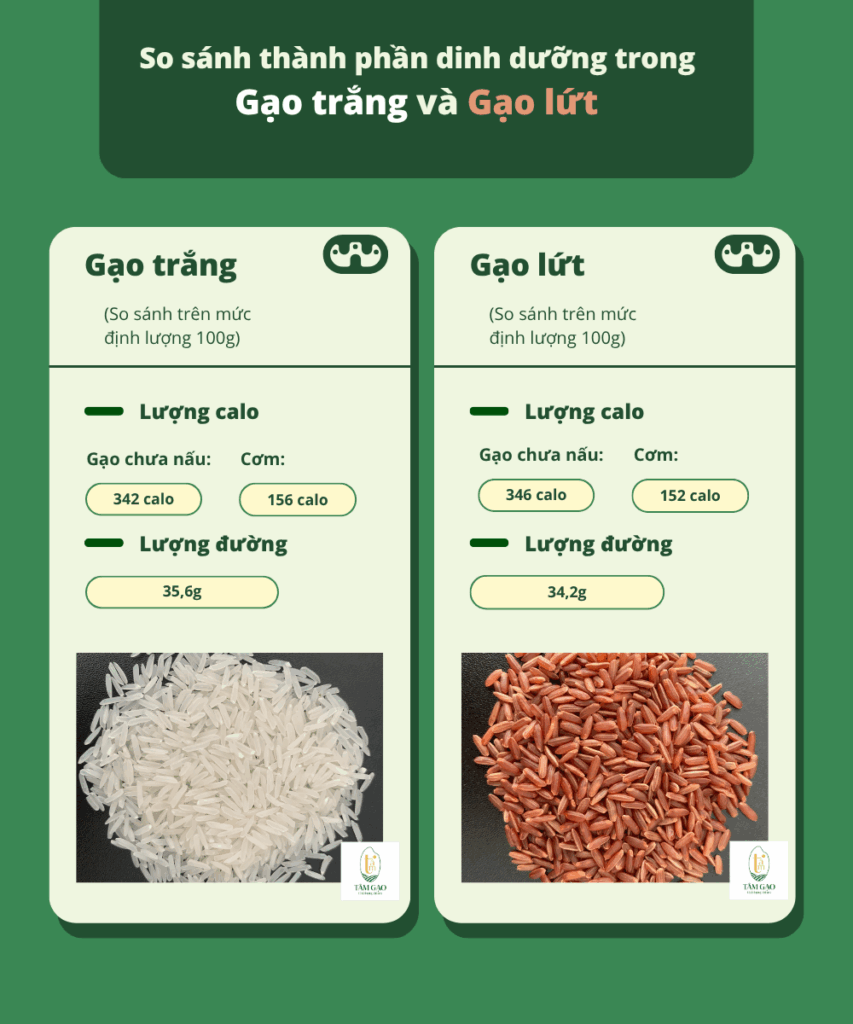 So sánh lượng calo trong gạo trắng với gạo lứt