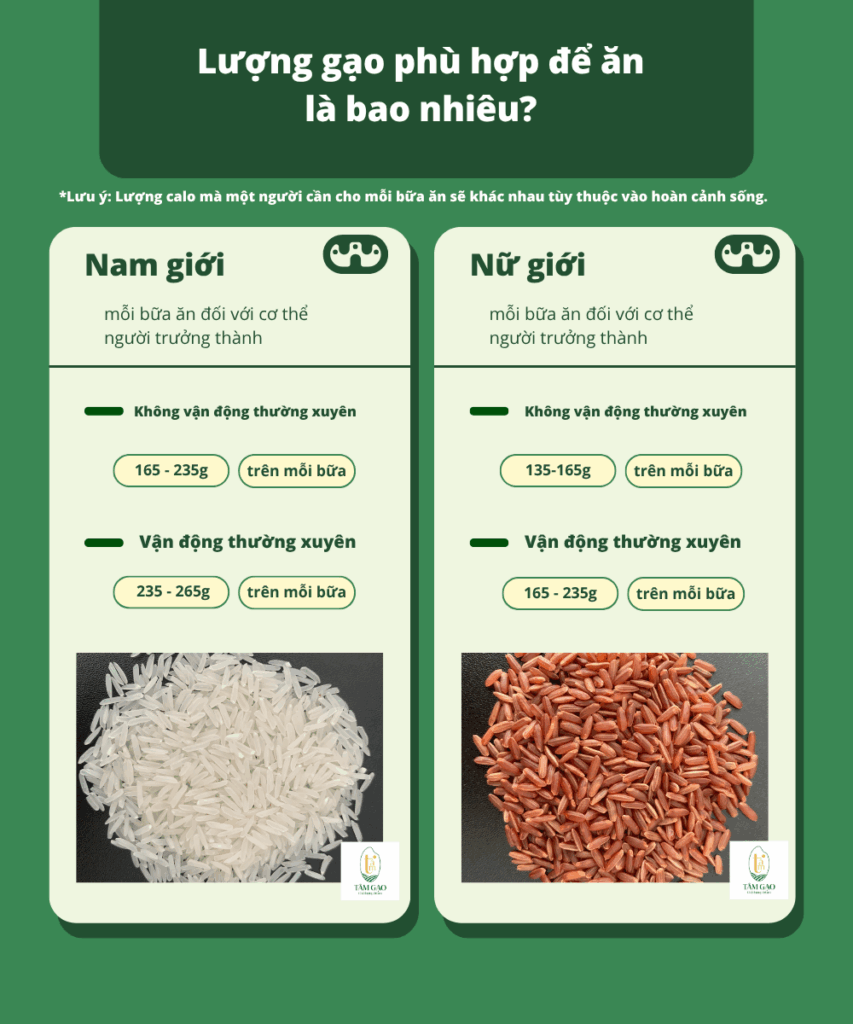 Lượng gạo phù hợp trong mỗi bữa ăn cho nam giới và nữ giới