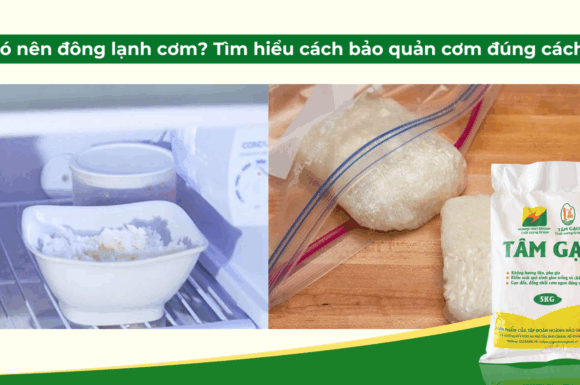 Có nên đông lạnh cơm không? Tìm hiểu cách bảo quản cơm đúng cách.