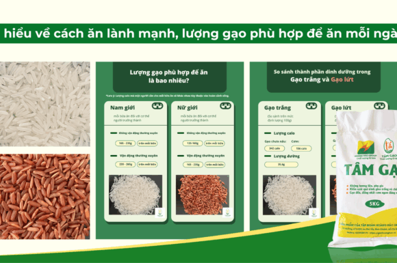 Tìm hiểu về cách ăn lành mạnh, hạn chế lượng calo trong gạo. Lượng gạo phù hợp trong mỗi bữa ăn hằng ngày.