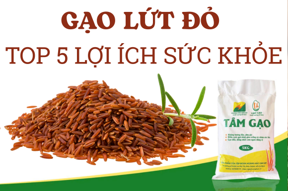Gạo Lứt Đỏ: Top 5 Lợi Ích Sức Khỏe Tuyệt Vời Cho Gia Đình