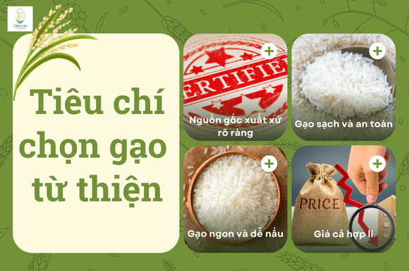 Các tiêu chí chọn gạo