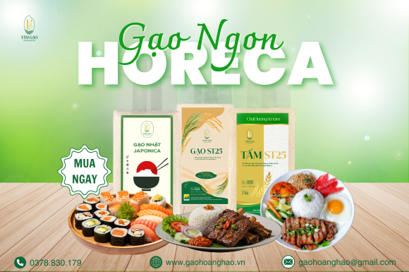 GẠO HORECA