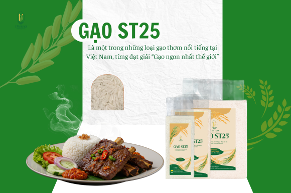 GẠO ST25
