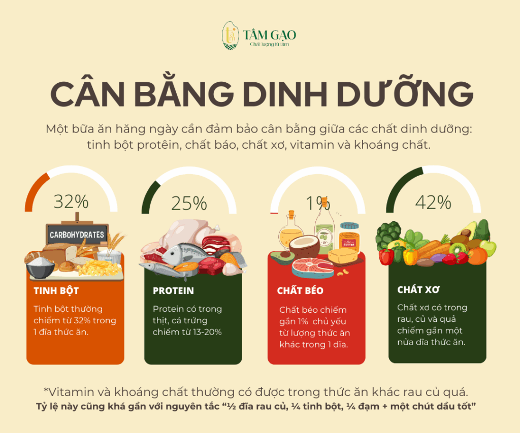 Dân văn phòng cần có thói quen cân bằng dinh dưỡng trong bữa ăn