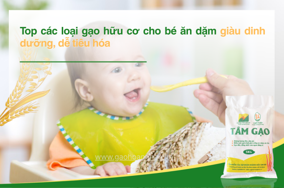 Top các loại gạo hữu cơ cho bé ăn dặm giàu dinh dưỡng, dễ tiêu hóa