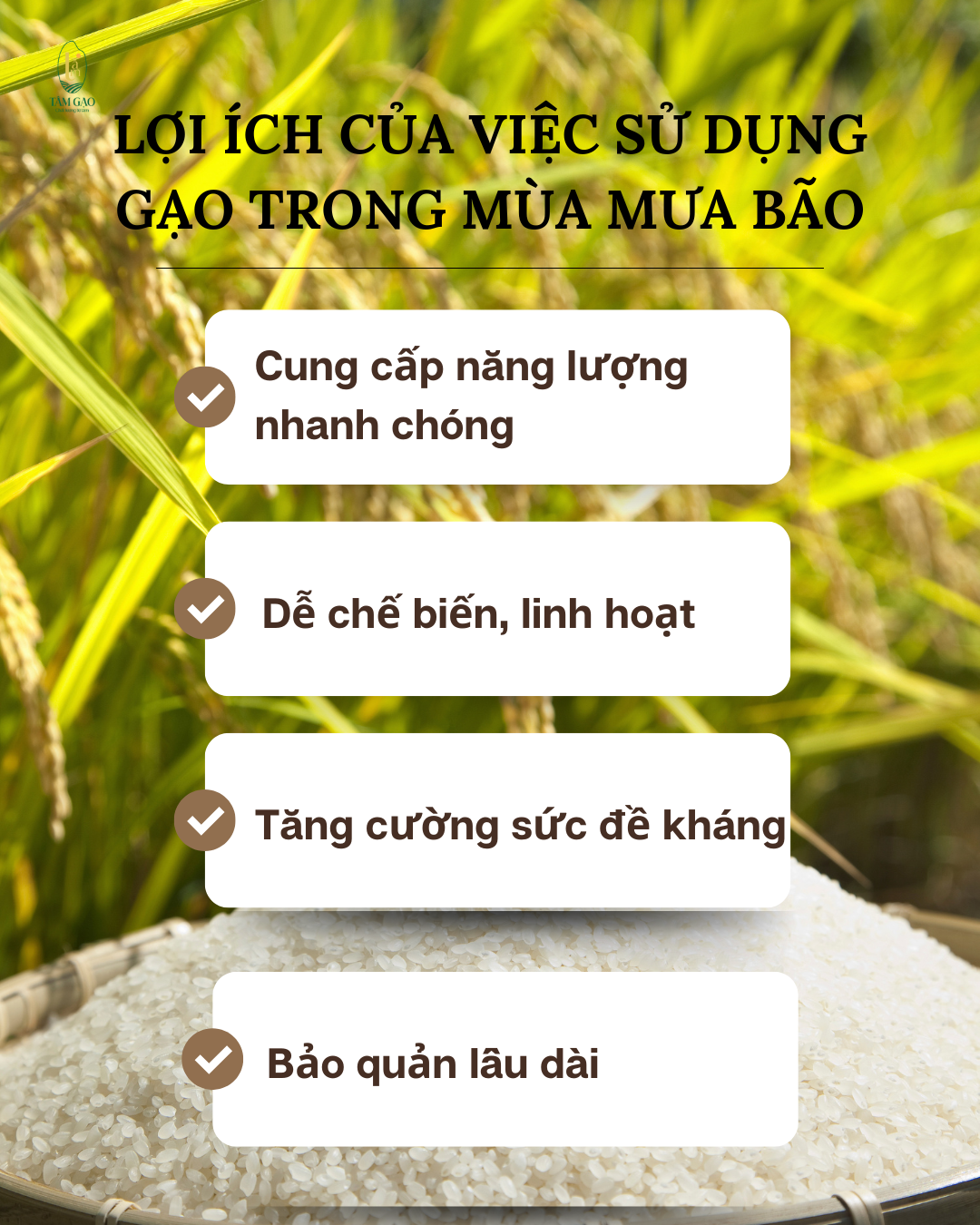 Lợi ích của việc sử dụng gạo trong mùa mưa bão