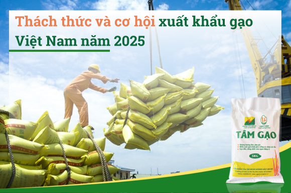 Thách thức và cơ hội xuất khẩu gạo Việt Nam năm 2025