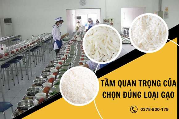 Tầm quan trọng của việc chọn đúng loại gạo