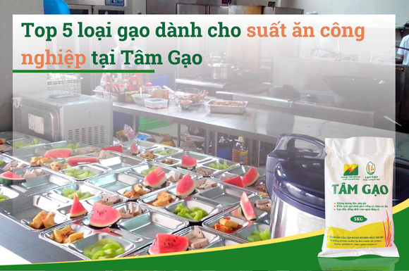 Top 5 loại gạo dành cho suất ăn công nghiệp tại Tâm Gạo