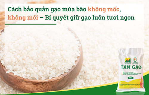 Cách bảo quản gạo mùa bão không mốc, không mối – Bí quyết giữ gạo
