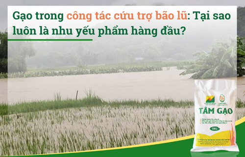 Gạo trong công tác cứu trợ bão lũ: Tại sao gạo luôn được ưu tiên ?