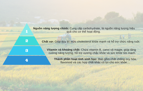 Giá trị dinh dưỡng cao và phù hợp lâu dài của gạo