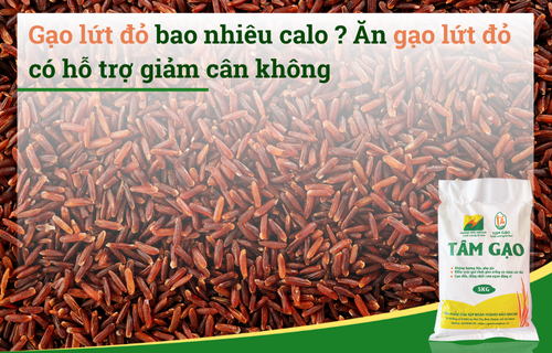 Gạo lứt đỏ bao nhiêu calo ? Ăn gạo lứt đỏ có hỗ trợ giảm cân không