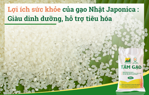 Lợi ích sức khỏe của gạo Nhật: Giàu dinh dưỡng, hỗ trợ tiêu hóa