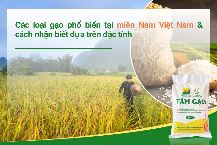 Các loại gạo phổ biến tại miền Nam Việt Nam & cách nhận biết dựa trên đặc tính