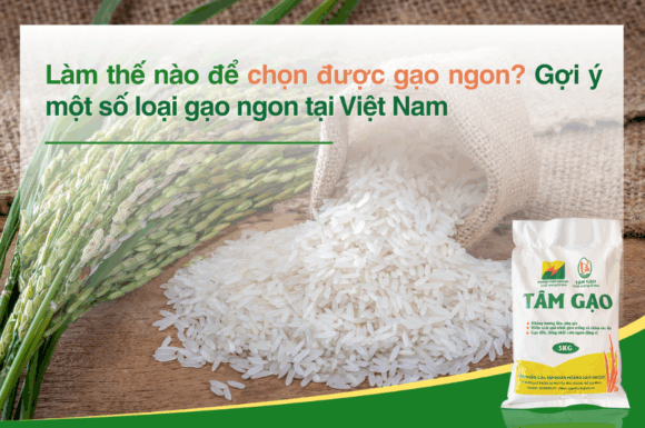 Làm thế nào để chọn được gạo ngon? Gợi ý một số loại gạo ngon tại Việt Nam