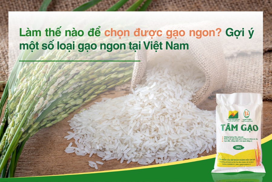 Làm thế nào để chọn được gạo ngon? Gợi ý một số loại gạo ngon tại Việt Nam