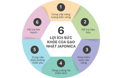lợi ích sức khỏe của gạo Nhật Japonica