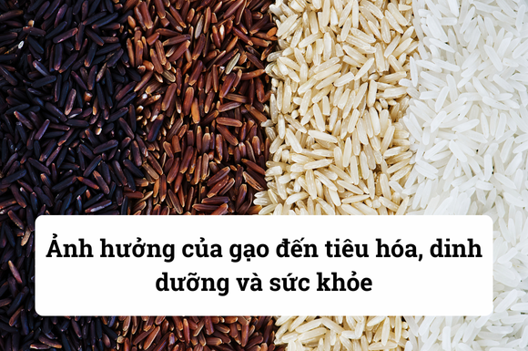 Ảnh hưởng của gạo đến tiêu hóa, dinh dưỡng và sức khỏe