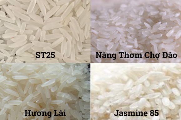 Gợi ý chọn loại gạo dẻo thơm phù hợp món miền Đông Nam Bộ
