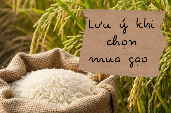 Lưu ý khi chọn mua gạo cho gia đình có trẻ em và người lớn tuổi