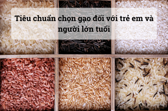 Tiêu chuẩn chọn gạo đối với trẻ em và người lớn tuổi