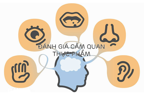 Tiêu chuẩn về chất lượng gạo cảm quan