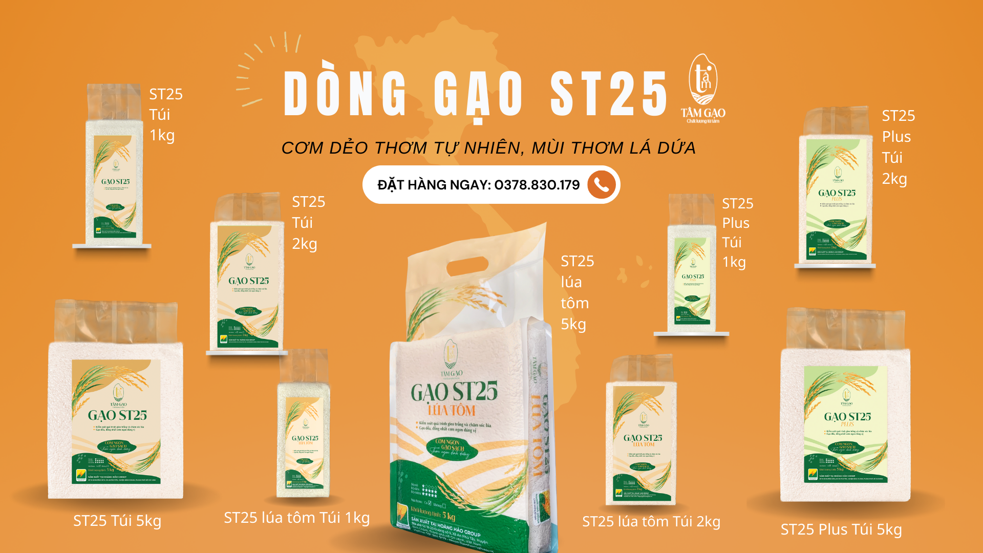 Dòng gạo ST25 - Cách chọn gạo phù hợp với khẩu vị gia đình