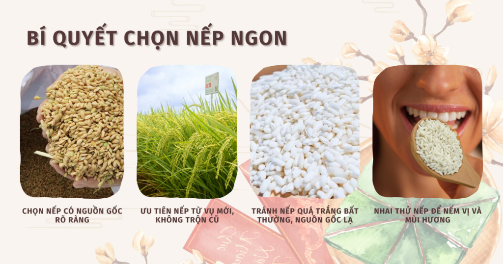 Bí quyết chọn nếp ngon để làm bánh chưng, bánh tét
