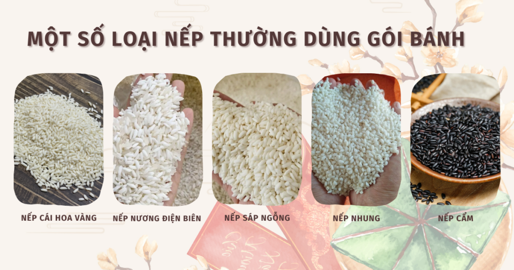 Một số loại nếp thường dùng để gói bánh Chưng, bánh Tét