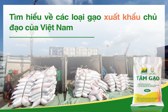 Tìm hiểu về các loại gạo xuất khẩu chủ đạo của Việt Nam