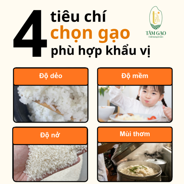 Gạo nào nấu cơm ngon? Cách chọn gạo - Tâm Gạo