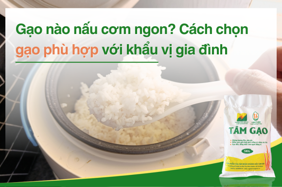 Gạo nào nấu cơm ngon? Cách chọn gạo phù hợp với khẩu vị gia đình